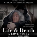 Life & Death: A Love Story poster